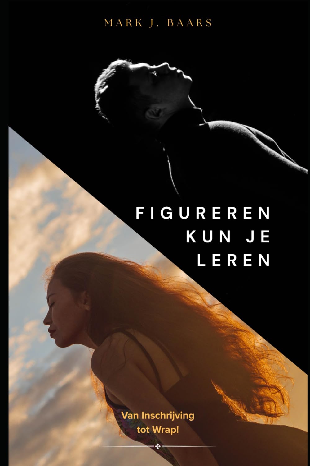 Cover: Figureren kun je Leren